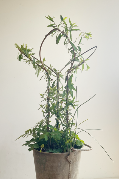 Leaf Supports - Tall