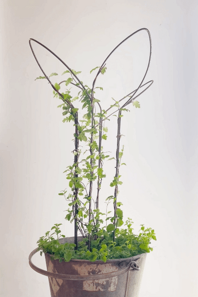 Leaf Supports - Tall