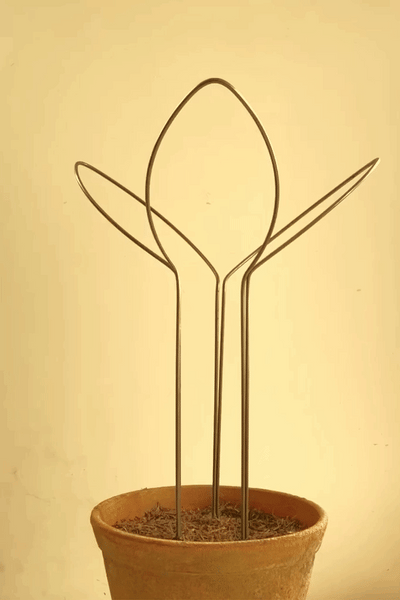 Leaf Supports - Medium height