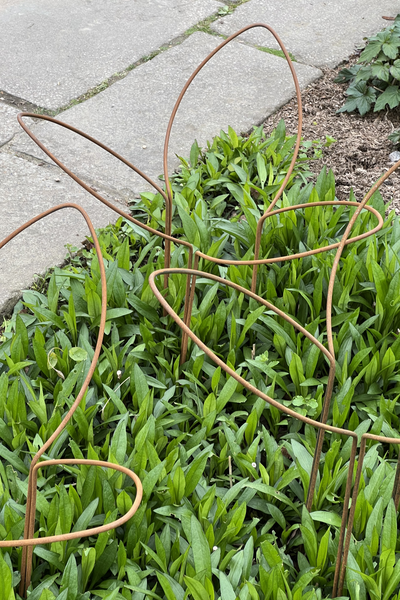 Leaf Supports - Medium height