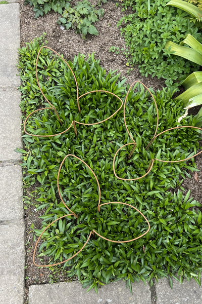 Leaf Supports - Medium height