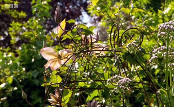 Obelisk Plant Support, Plant Belles Belle Tower