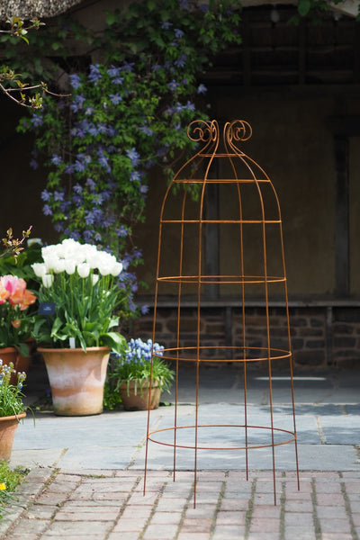 Obelisks and grow-through plant supports. Also great for training roses. at RHS Rosemoor & Wisley