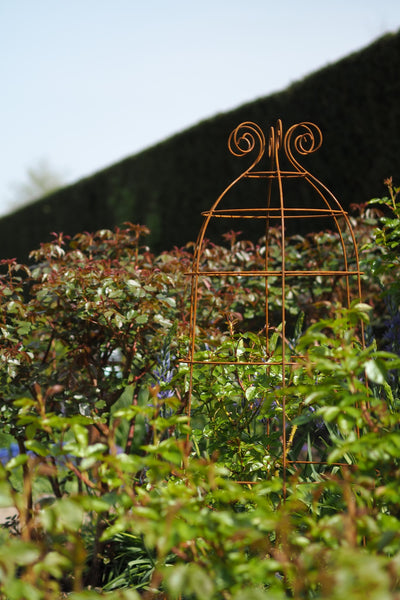 Obelisks and grow-through plant supports. Also great for training roses. at RHS Rosemoor & Wisley