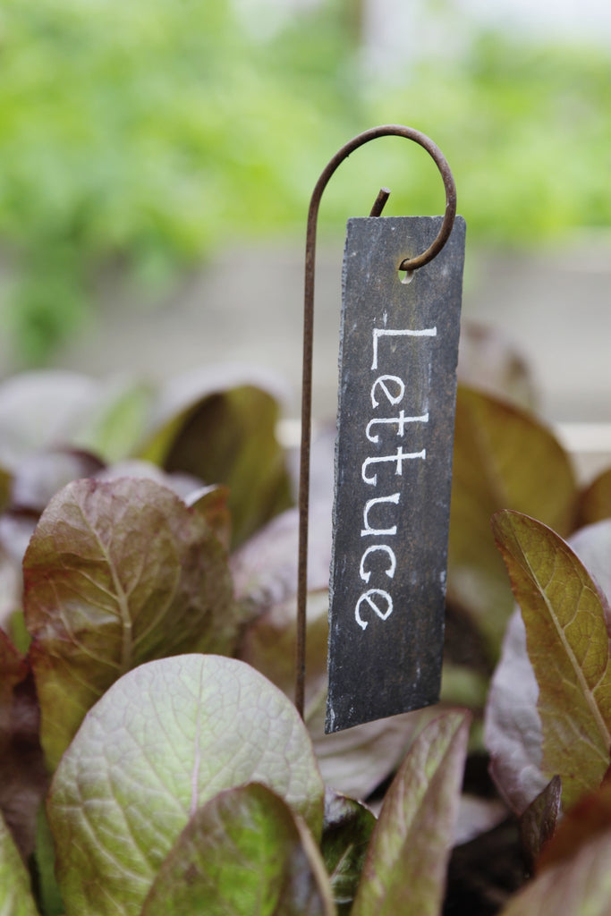 hanging plant labels Slate Plant Labels
